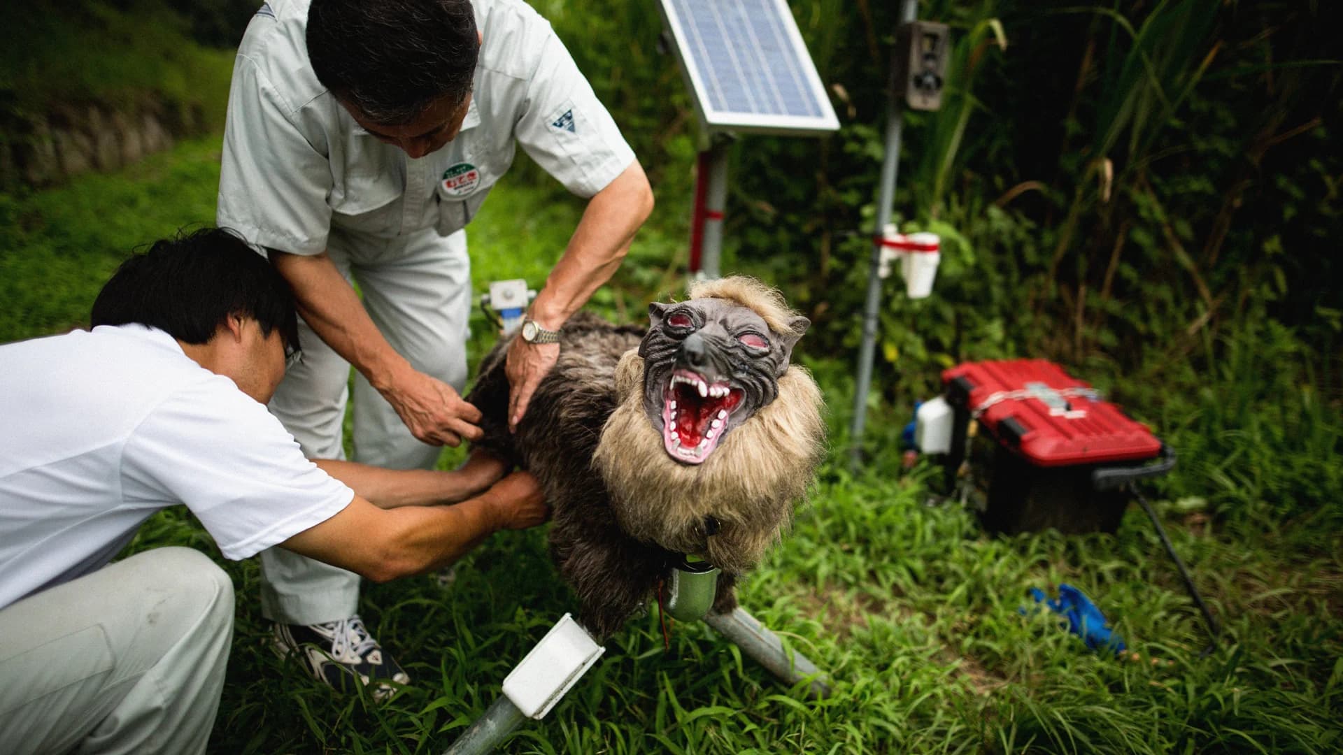 Japanese Innovation: Robot 'Monster Wolf' Offers New Wildlife Protection