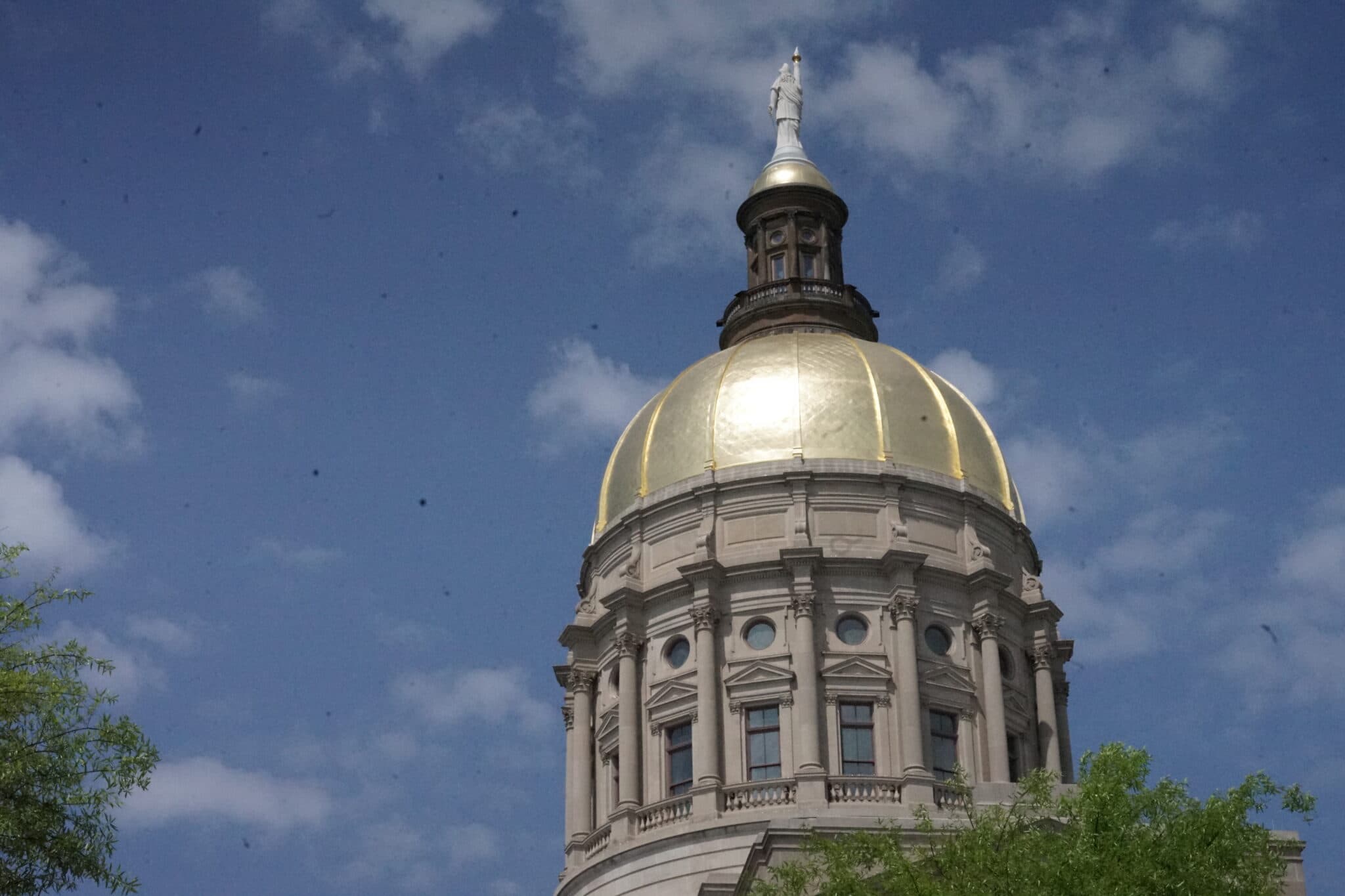 Georgia Primary Maps Stand: What Business Leaders Should Know