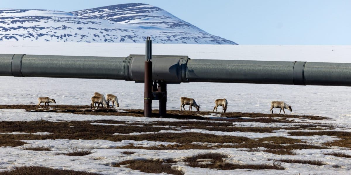 Arctic Oil Boom Signals Wider Energy Investment Opportunities
