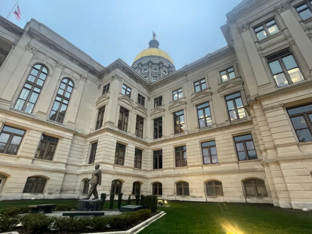 Georgia Legislative Runoffs Set Stage for Policy Shifts