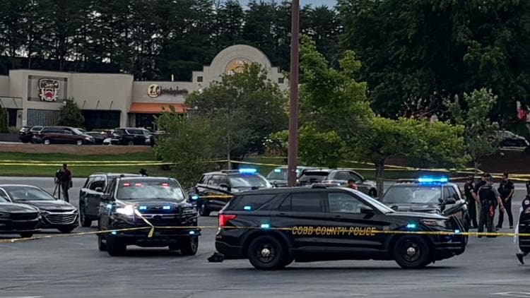 Police Activity at Town Center Mall Disrupts Retail Operations