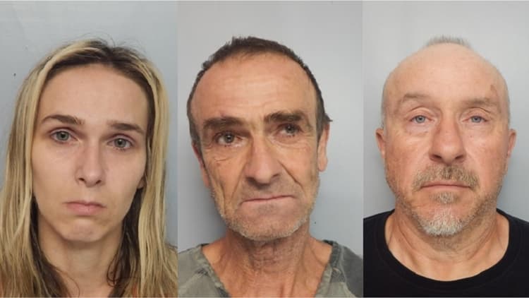 Train Derailment in Hall County Leads to Cargo Theft Arrests