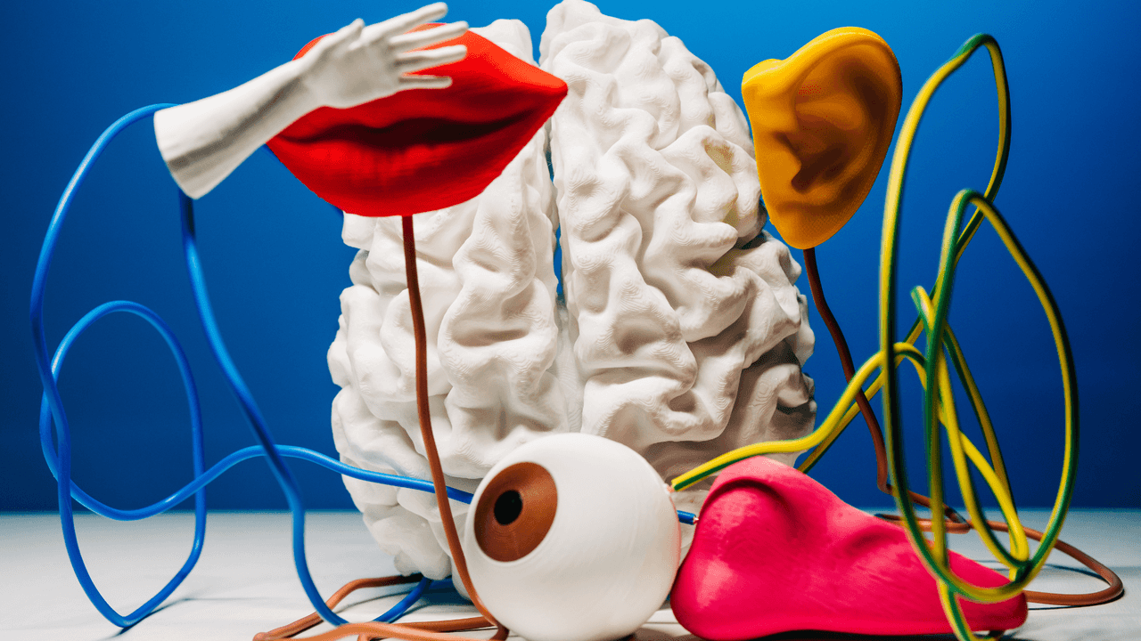 Why ADHD-Friendly Design Benefits All Your Customers