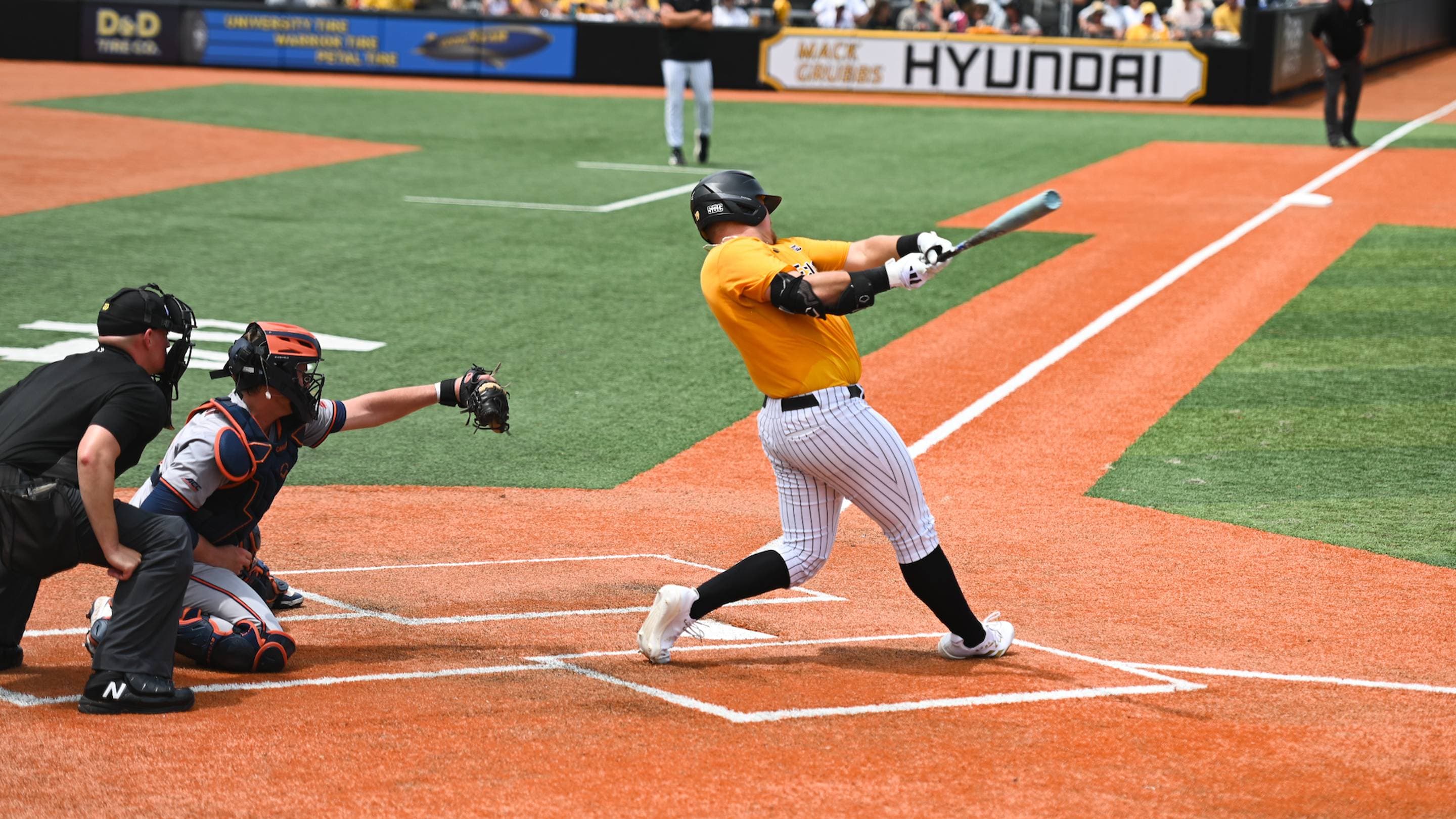 Southern Miss Baseball Season Ends in NCAA Regional Loss