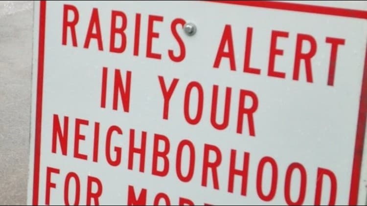 Rabies Alert: What Georgia Businesses Need to Know