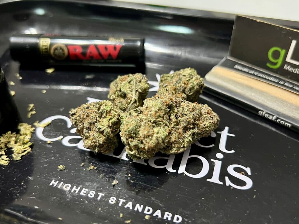 High-Potency Cannabis Debate: What Georgia Employers Need to Know