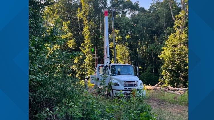 Tree-Related Power Outage Highlights Grid Vulnerability