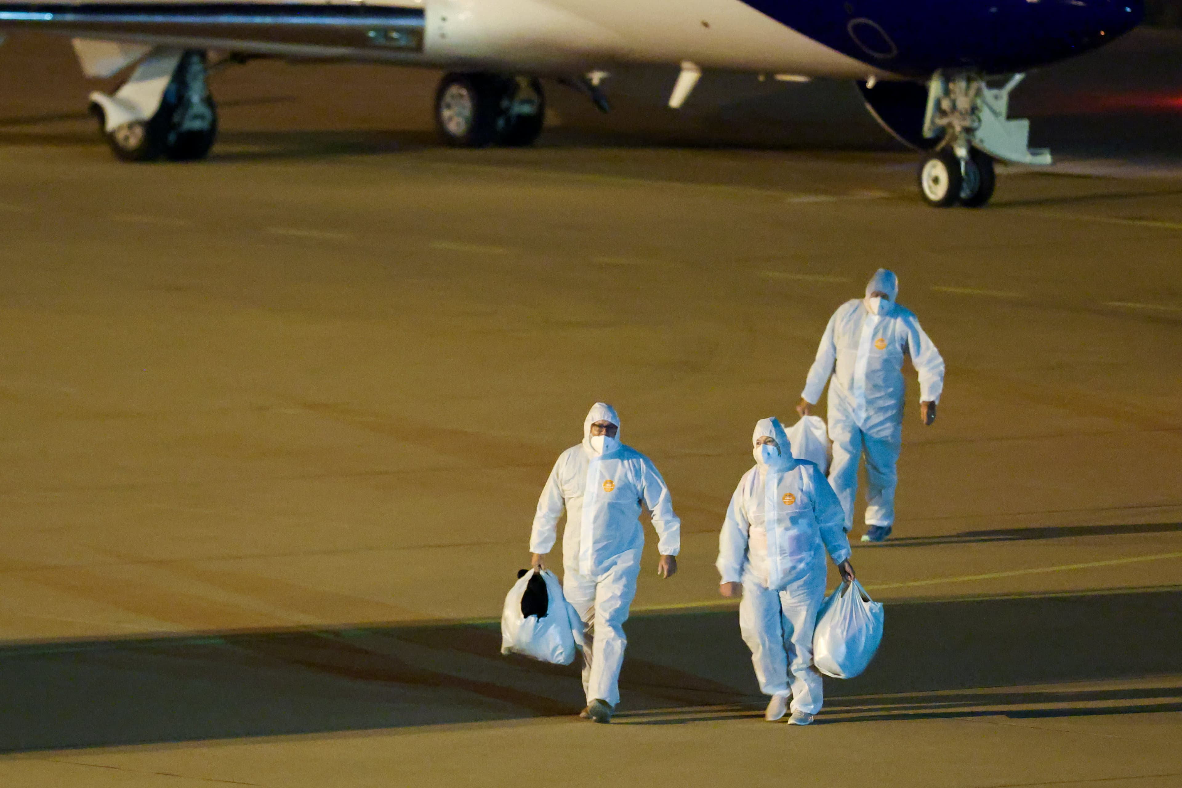Hantavirus Outbreak Tests U.S. Disease Response Readiness