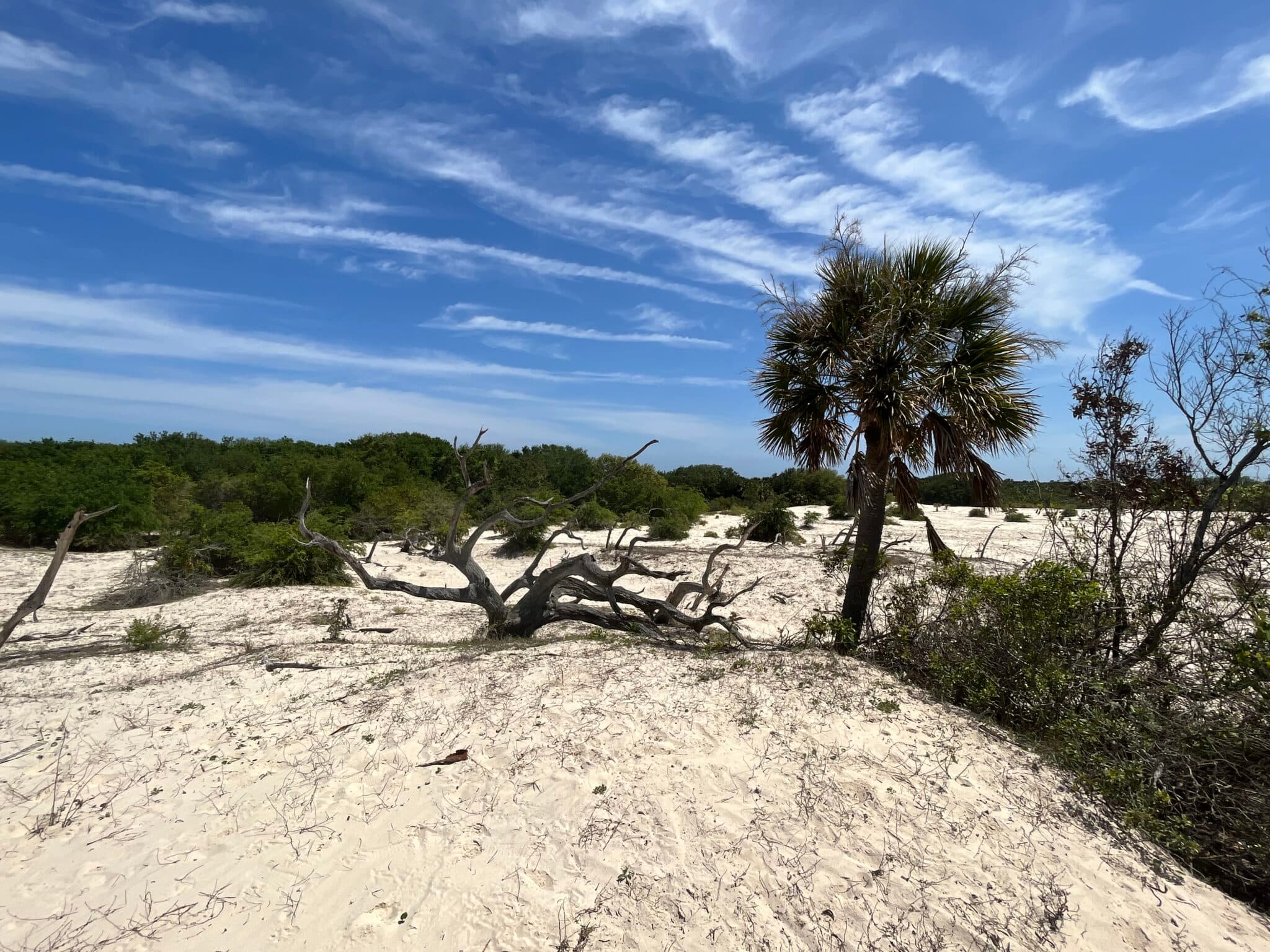 Cumberland Island Development Debate Signals Broader Georgia Land-Use Tensions