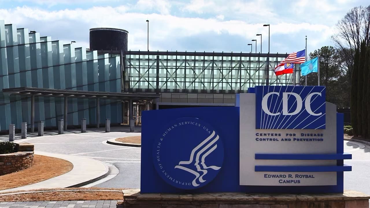 CDC: Hantavirus Risk Remains Low Despite Recent Cases