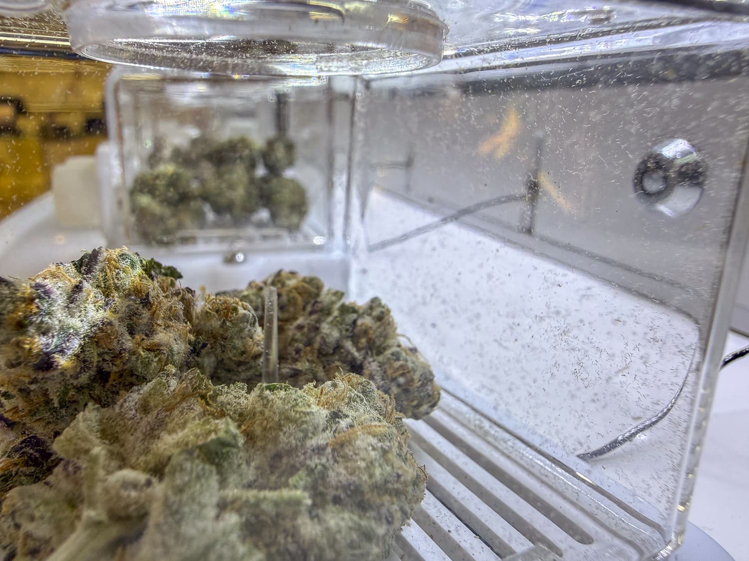Federal Shift on Medical Marijuana Could Open New Business Opportunities