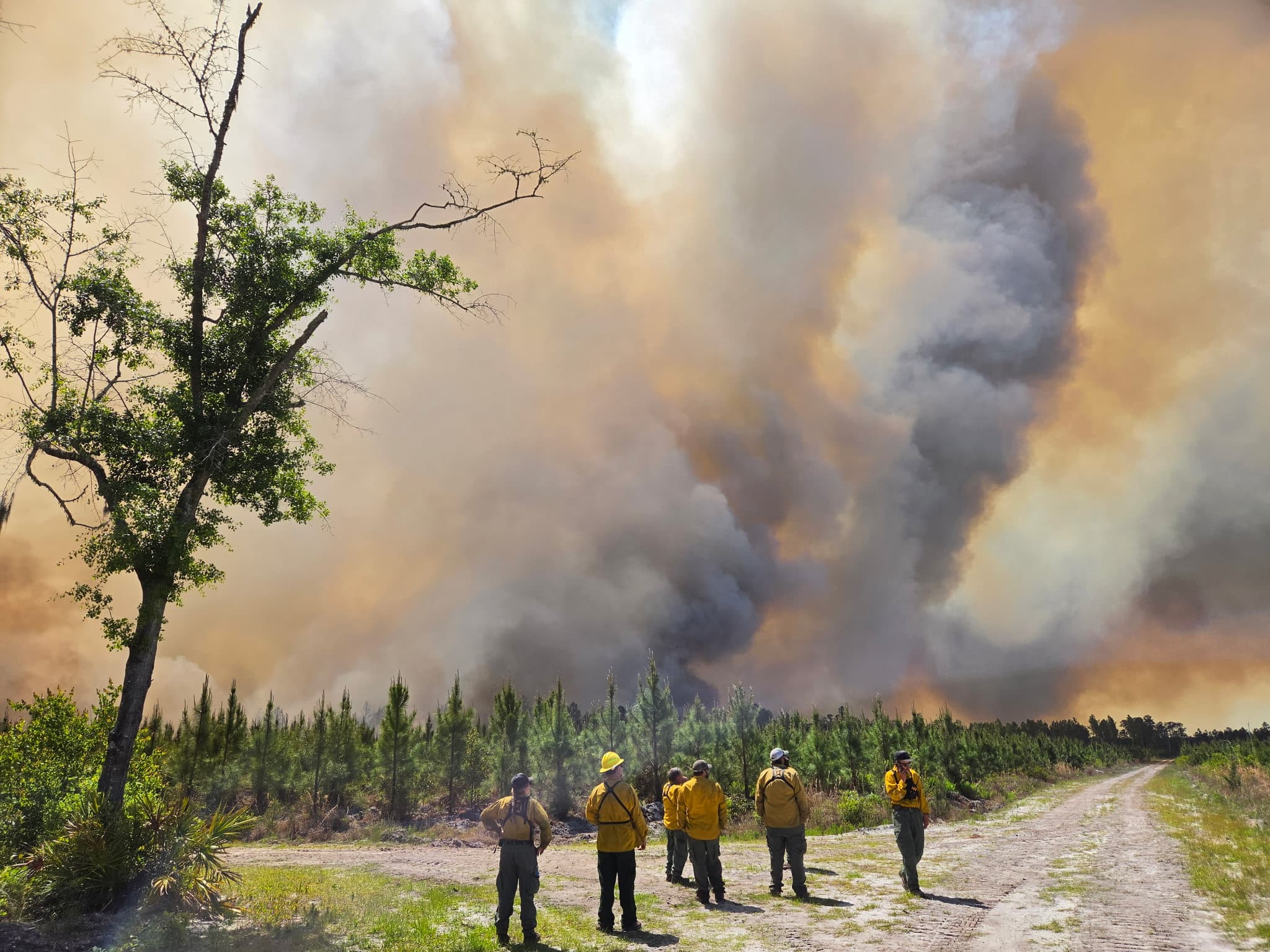 Wildfire Emergency Declared for 91 GA Counties; Dalton Area Affected