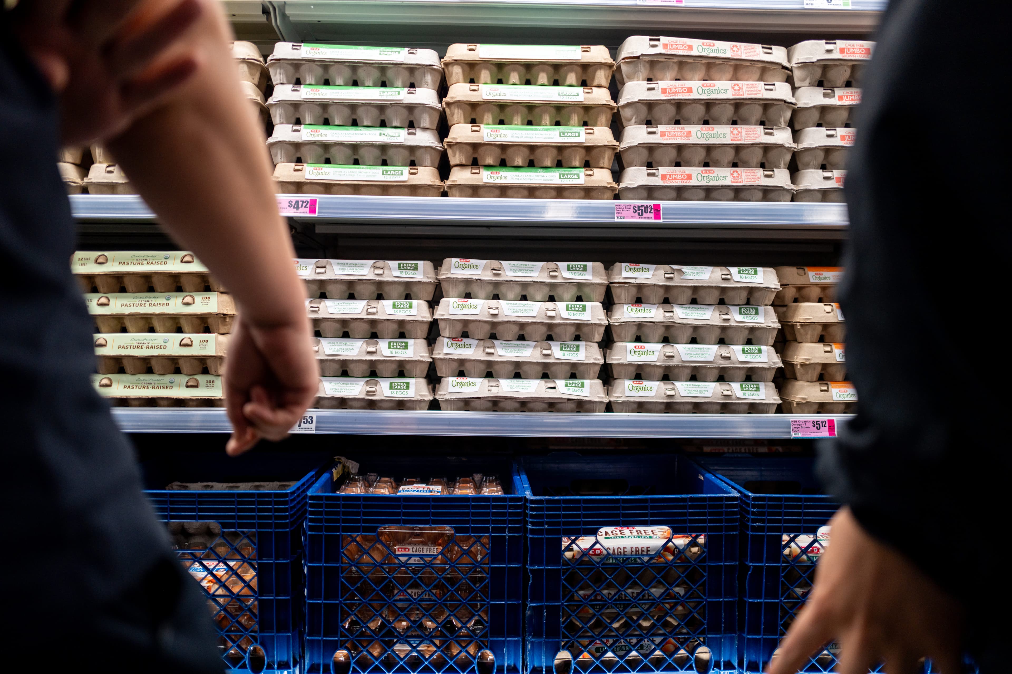 Egg Market Glut Squeezes Producer Margins Despite Price Drops