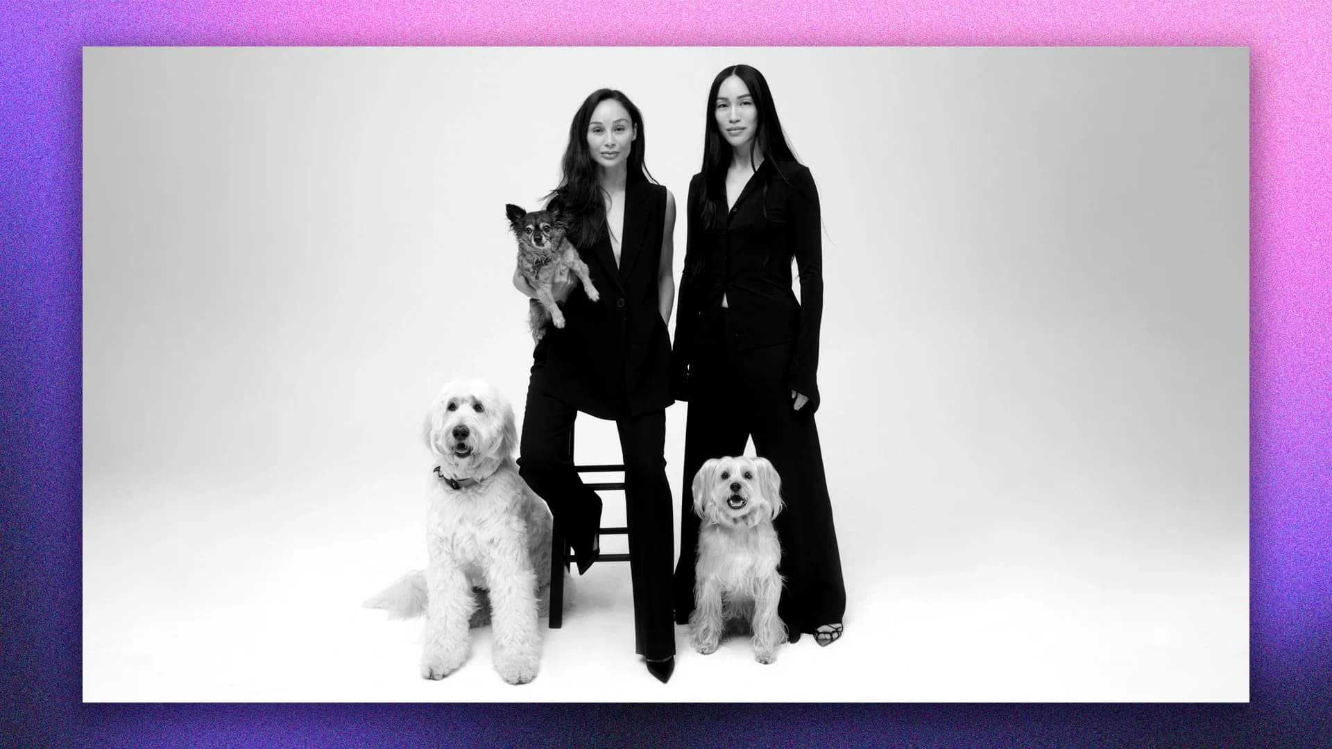 Clean Beauty Trends Reshape Pet Care Market for Entrepreneurs