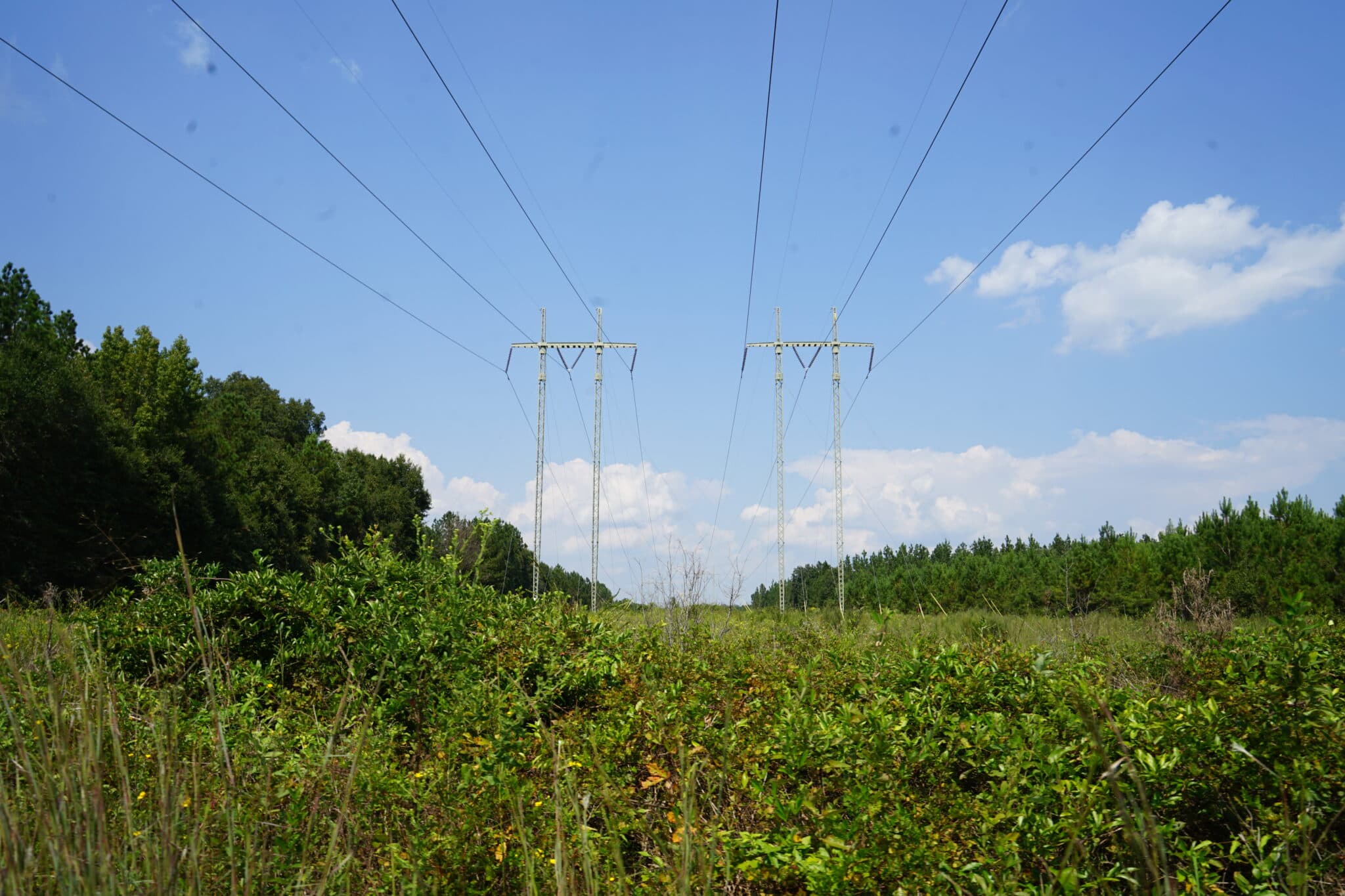 Georgia Power Fuel Rate Cut to Lower Bills Across Region