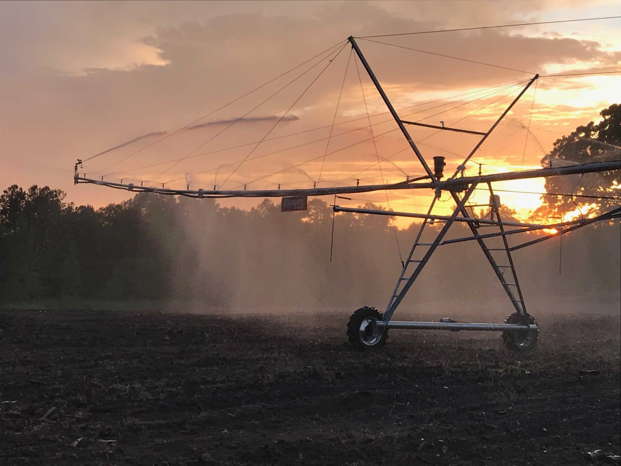 Georgia's Farmland Crisis: What It Means for Northwest Georgia